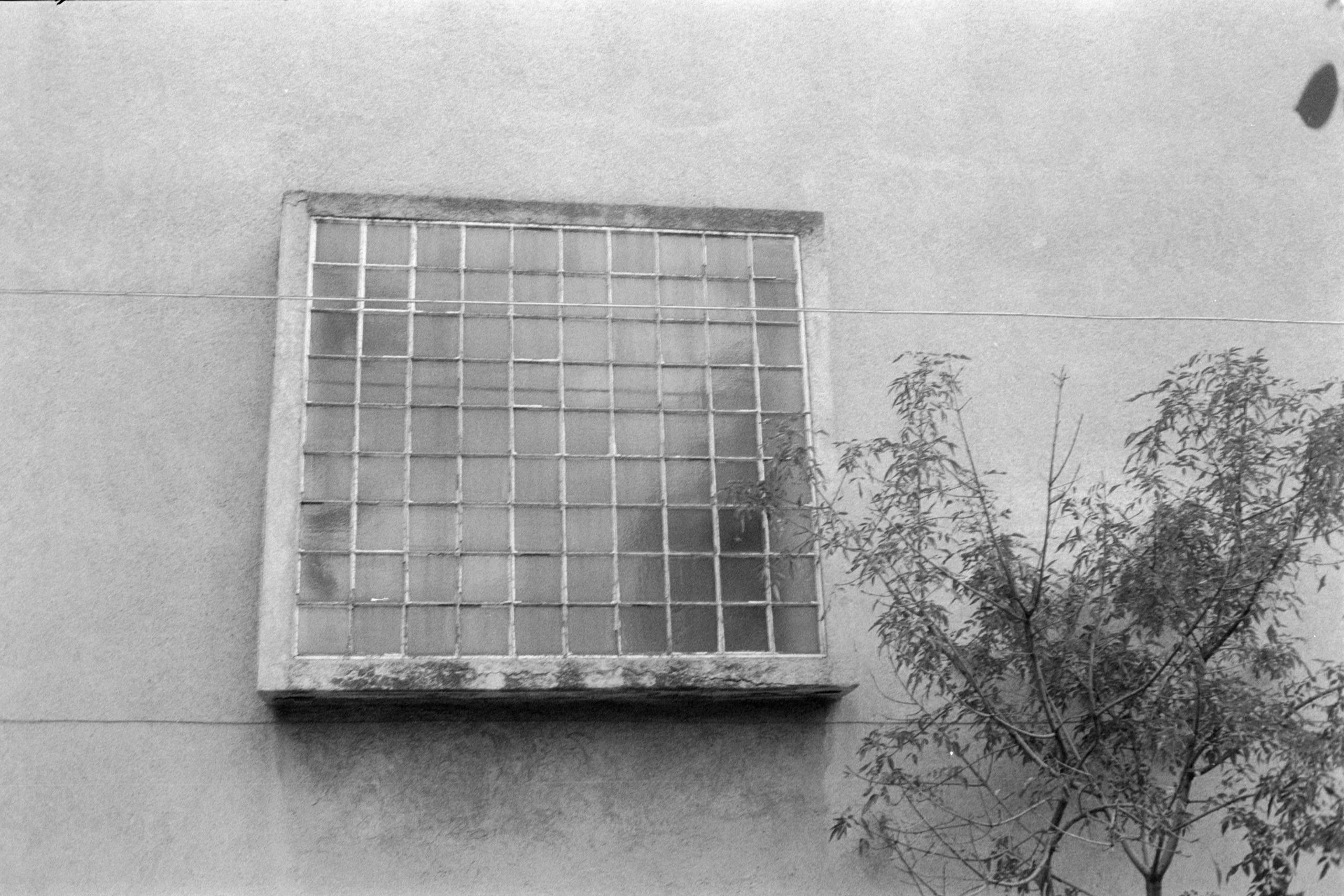 AHP FilmScan 240807 0617